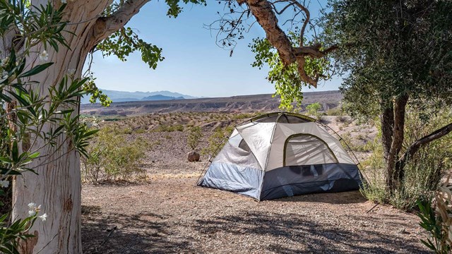 Campground with tent.